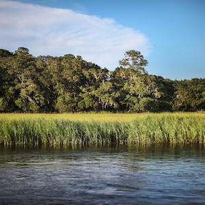Edisto Island, Original Photo, Print, Big Bay Creek, South Carolina Print, Nature Photography, Marshes of the South, Lowcountry Art Print