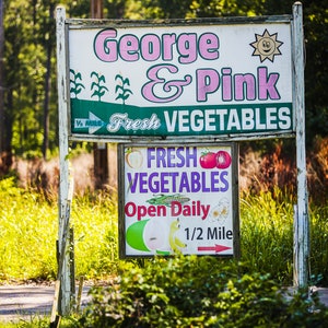 Edisto, Original Photo, Print, George & Pink Sign, Edisto Island, Coastal Beach Photography, Wall Decor, Lowcountry Art Prints, Travel Photo