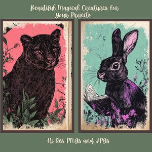 May include: Two digital illustrations of magical creatures. A black panther with green foliage and a black rabbit reading a book with purple and pink flowers.
