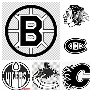 Hockey team logo decal