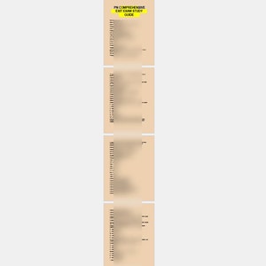 Lastminute aantekeningen voor LPN/LVN-studenten in 2026 voor het eindexamen - 15 pagina's met alles wat je moet weten!
