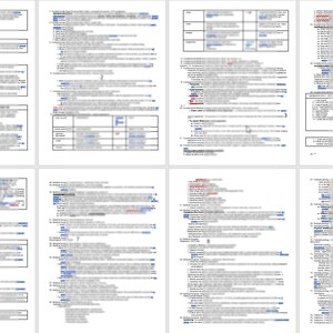 May include: A collection of 10 pages of handwritten notes on white paper with blue ink. The notes are organized into columns and rows with headings and subheadings. The notes are about various topics, including business, marketing, and finance.