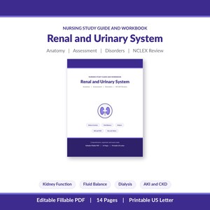 Pode incluir: Um guia de estudo e caderno de exercícios de enfermagem intitulado Renal and Urinary System, cobrindo anatomia, avaliação, distúrbios e revisão NCLEX. A capa apresenta um ícone de rim e texto sobre função renal, equilíbrio hídrico e diálise.