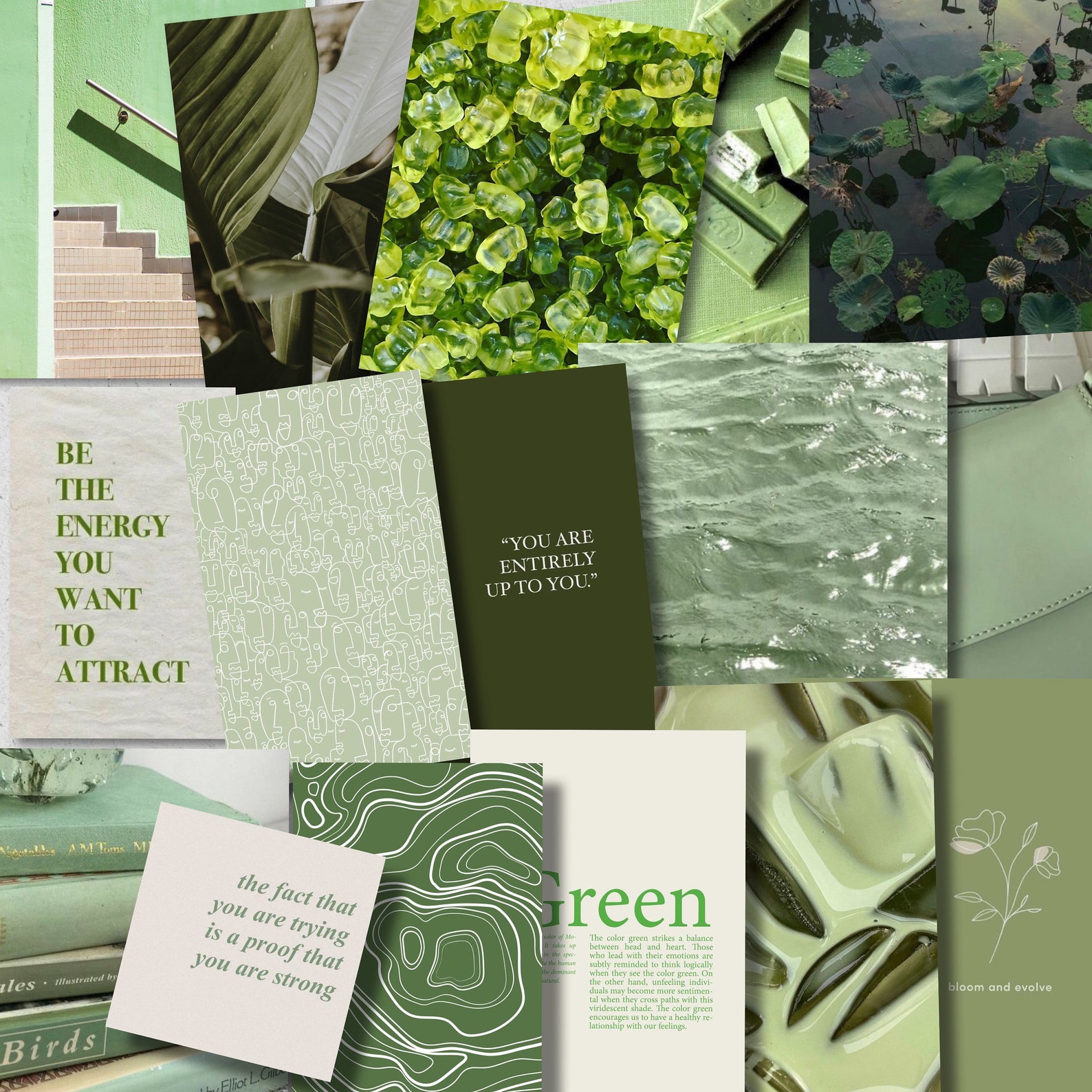 Emerald green wall collage kit earthy aesthetic wall collage Etsy