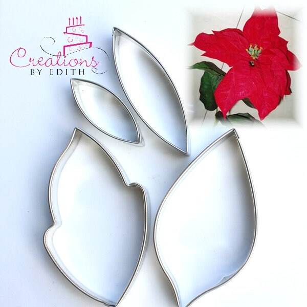 dreimasterblume zimmerpflanze Dreimasterblume 'Quadricolor' kaufen