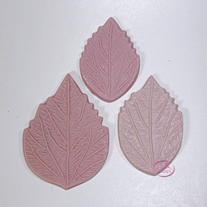 May include: Three pink silicone leaf molds for baking or crafting. The molds are detailed with realistic leaf veins.