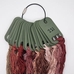 May include: A collection of embroidery floss skeins in various shades of red, pink, and brown, each attached to a sage green plastic organizer tag. The tags are held together by a black metal ring, with the number 221 printed on the top tag.