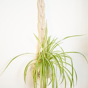 Macrame plant hanger, macrame plant holder,Ukraine shop