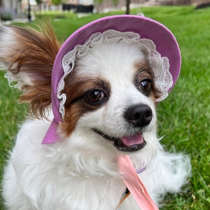 Dog Bonne, Cat Bonnet, Summer outdoor cap