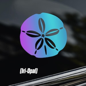 Sand Dollar Car Window Sticker [die-cut Vinyl Decal] - Etsy