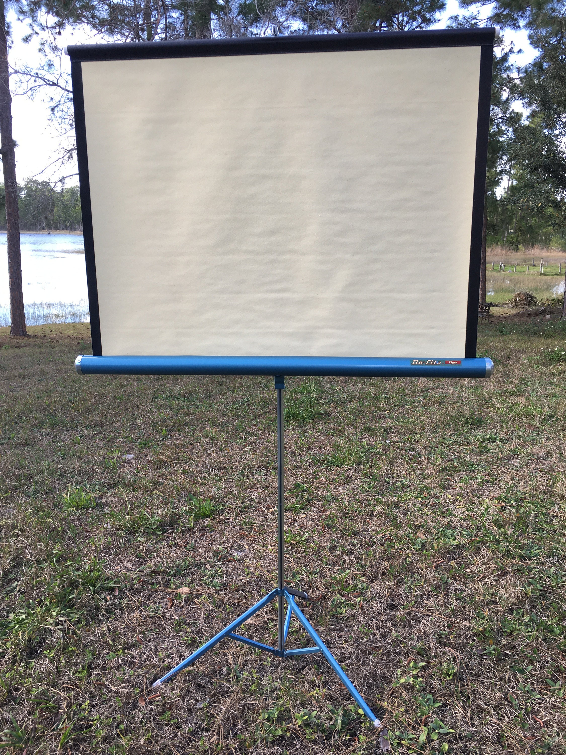 Projection Screen Da Lite Flyer Etsy