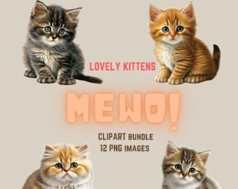 Imágenes prediseñadas de gatitos adorables / 12 ilustraciones PNG (descarga digital)