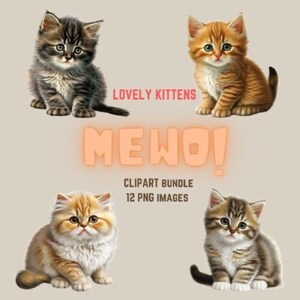 Cute kitten CLIP ART | 12 High quality PNG files | Transparent background