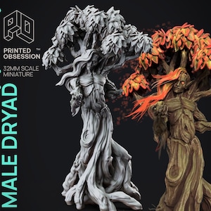 Male Dryad - Faewild vs Shadowfell by Printed Obsession