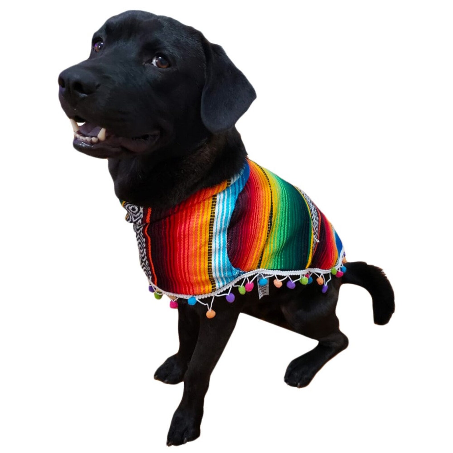 Handmade Dog Poncho Mexican Poncho for Dogs Serape Dog | Etsy