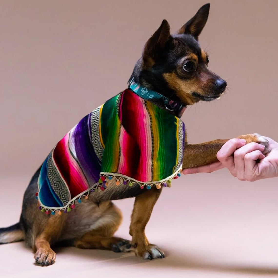 Handmade Dog Poncho Mexican Poncho for Dogs Serape Dog | Etsy