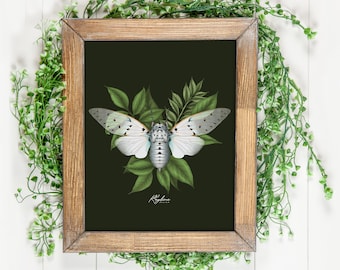 Ghost Cicada | Art Print | Insect Art | Entomology | Bug Illustration | cicada | moth art | butterfly art