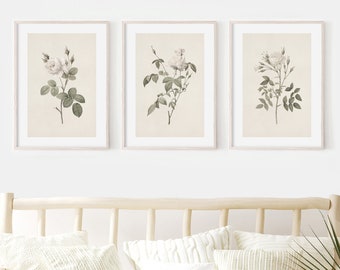 Vintage White Floral Print Set, Antique Botanical Wall Art