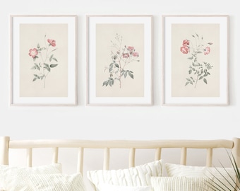 Vintage Botanical Print Set, Antique Pink Flower Gallery Wall Art