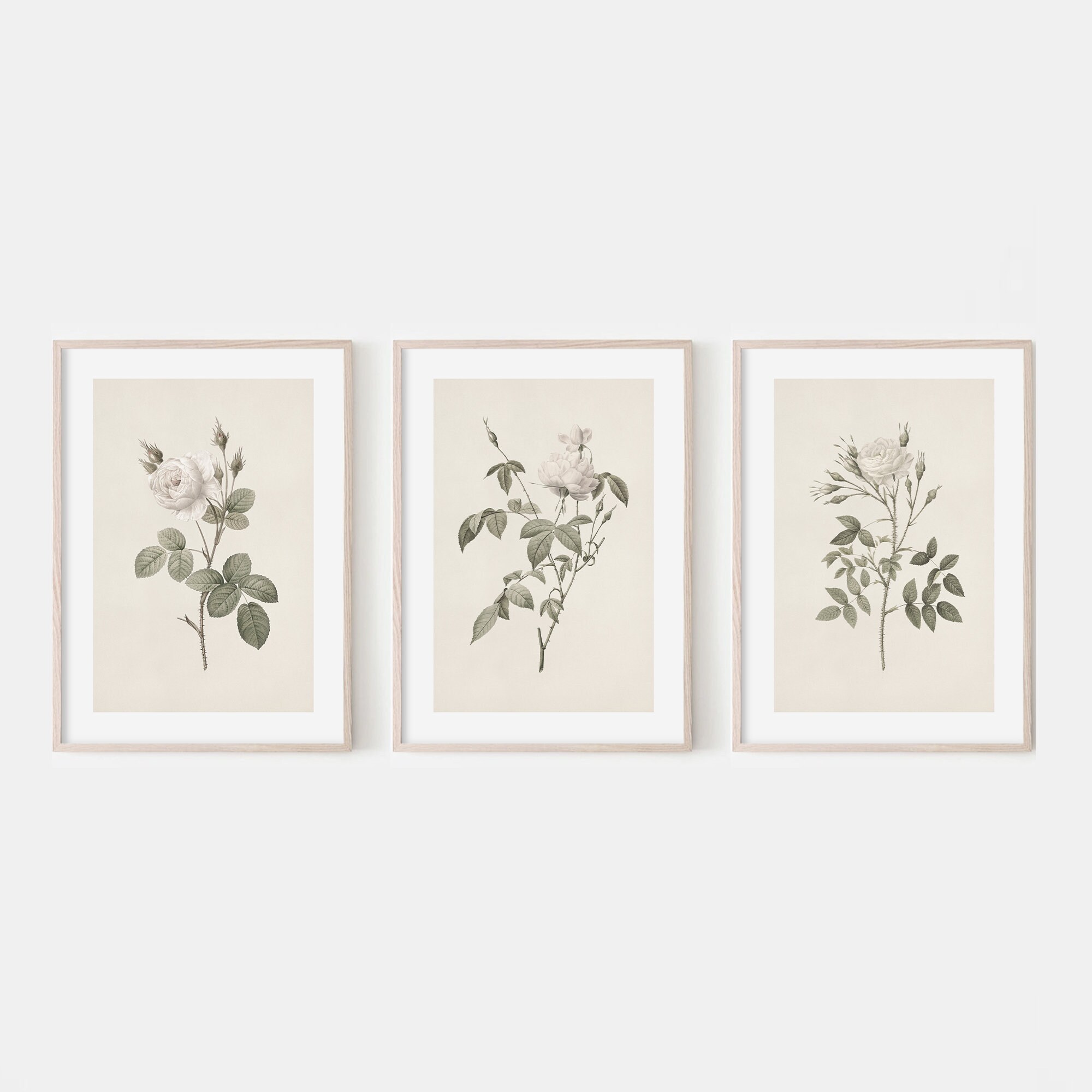 Vintage Flower Print Set. White Floral Wall Art. Antique - Etsy