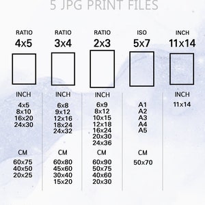 Pu&ograve; includere: Un grafico che mostra diverse dimensioni di file di stampa e rapporti per immagini digitali. Il grafico include misure in pollici e centimetri per ogni dimensione. I rapporti sono 4x5, 3x4, 2x3 e 5x7. Le dimensioni ISO sono A1, A2, A3, A4 e A5.