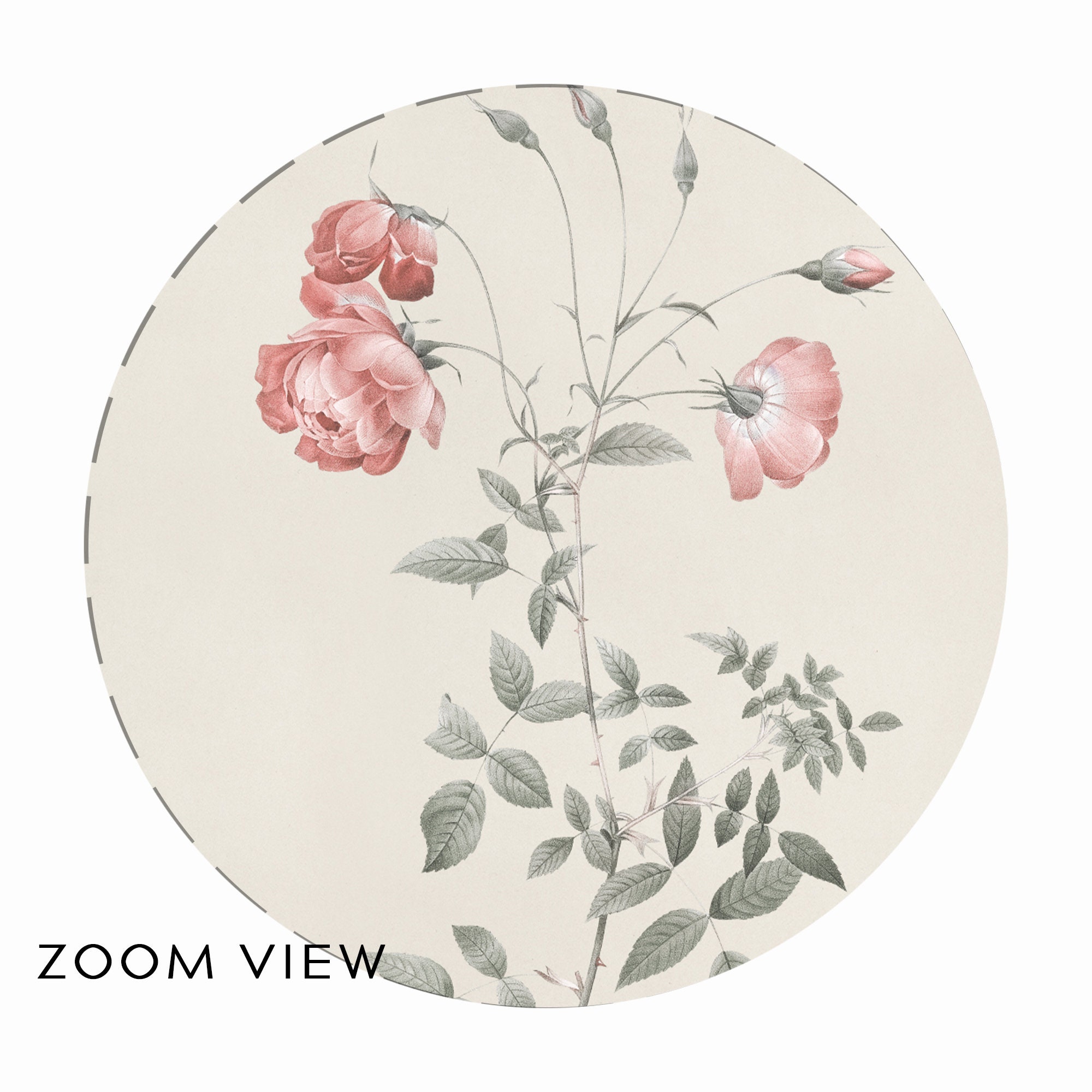 Vintage Botanical Print Set, Antique Pink Flower Gallery Wall Art - Etsy