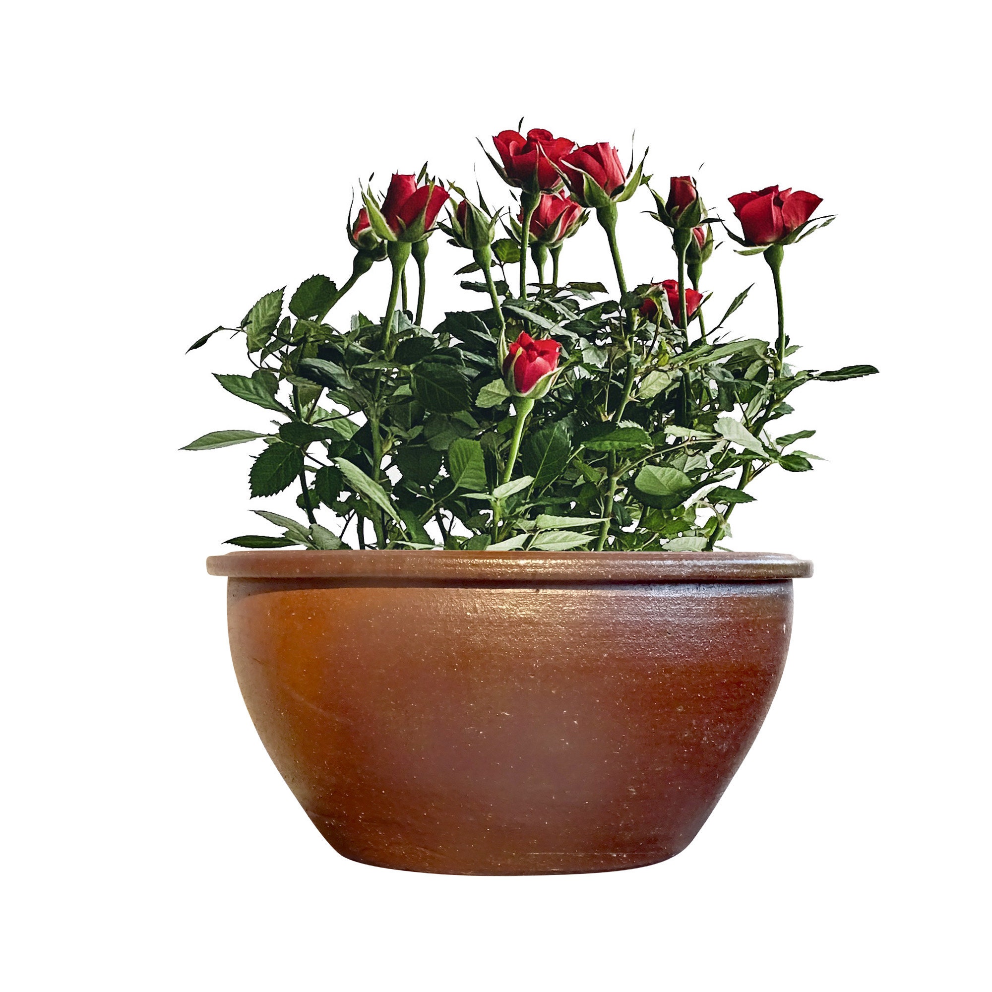 Vaso In Gres Porcellanato Modello Lotus, Fatto A Mano, Resistente Al Gelo - 22x12 Cm Con Foro Di Drenaggio