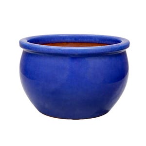 May include: A round, cobalt blue ceramic planter with a glossy finish. The planter has a wide, rolled rim and a rounded body. The interior is a contrasting terracotta colour. Ideal for indoor or outdoor use.
