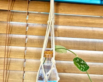 Satin Pothos Water Propagation Hanger – Mini Macrame Plant Holder with Live Cutting – Small Space Decor – Rooted Stillness Collection