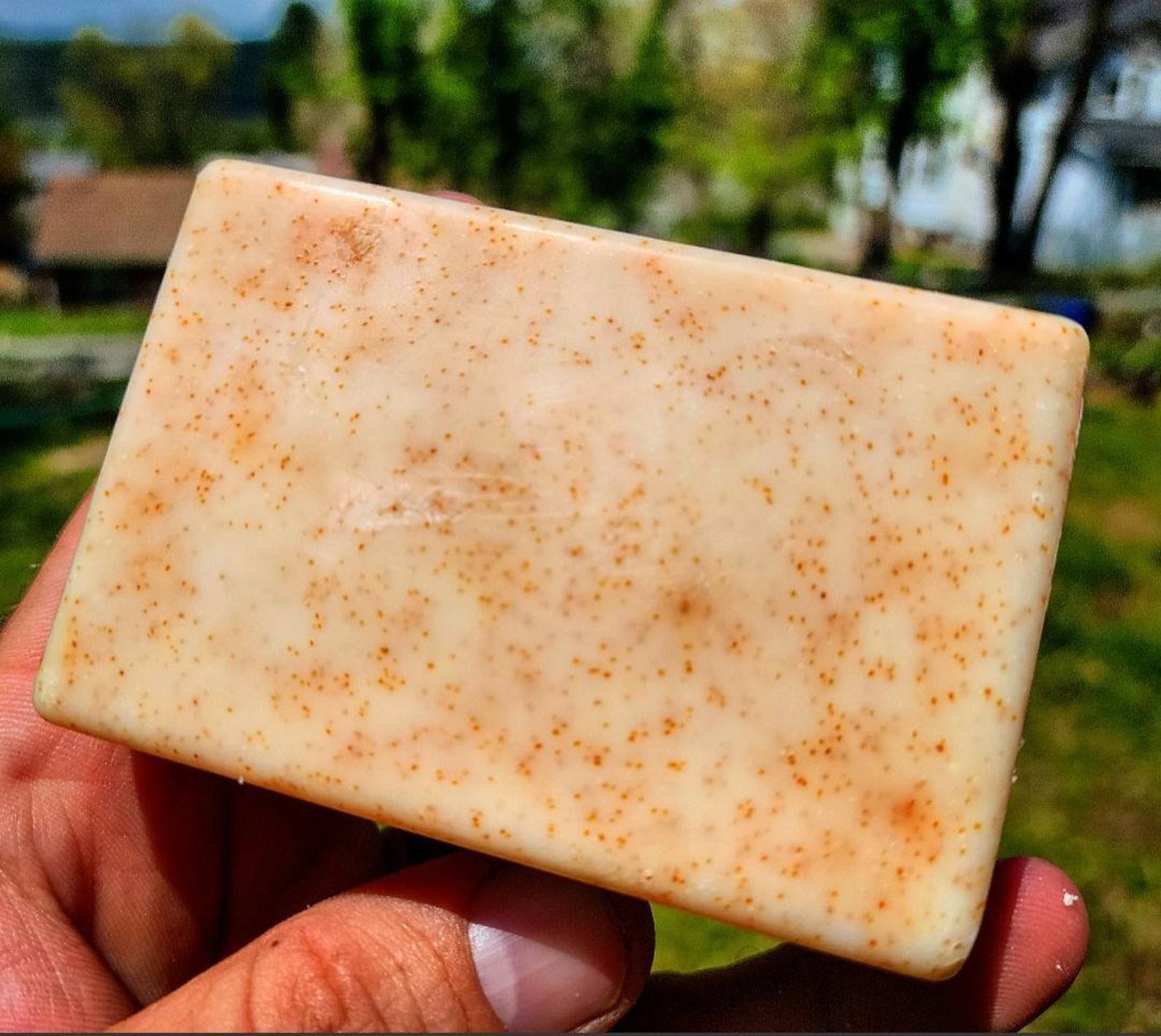 Unscented Walnut Shell Pumice Lye Soap Bar Etsy