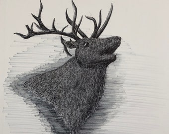 Bull Elk Drawing Etsy