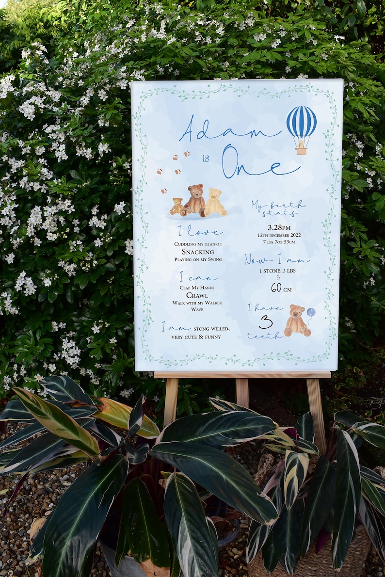 DIGITAL DOWNLOAD A1 Baby Blue Teddy Bear Milestone Sign. First 1st ...
