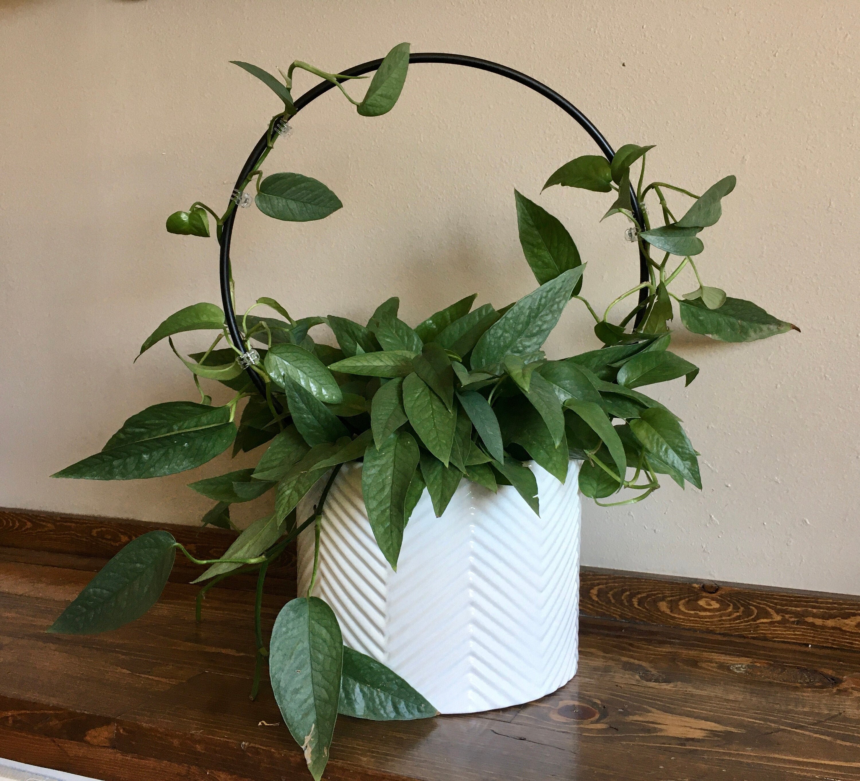 Circle Trellis 12 inch Etsy