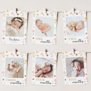 First Bee Day Photo Banner Editable, Bee 1st Birthday Monthly Picture Banner, Bay Girl Milestone Cards Canva Template