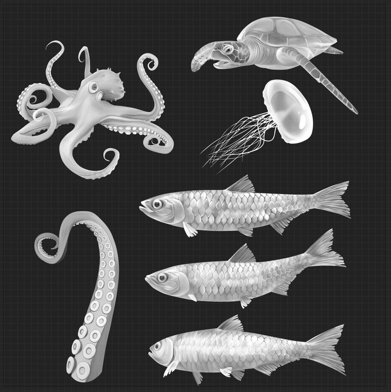 Atlantis Brush Set for Procreate Water Fish Scales Bubbles Etsy