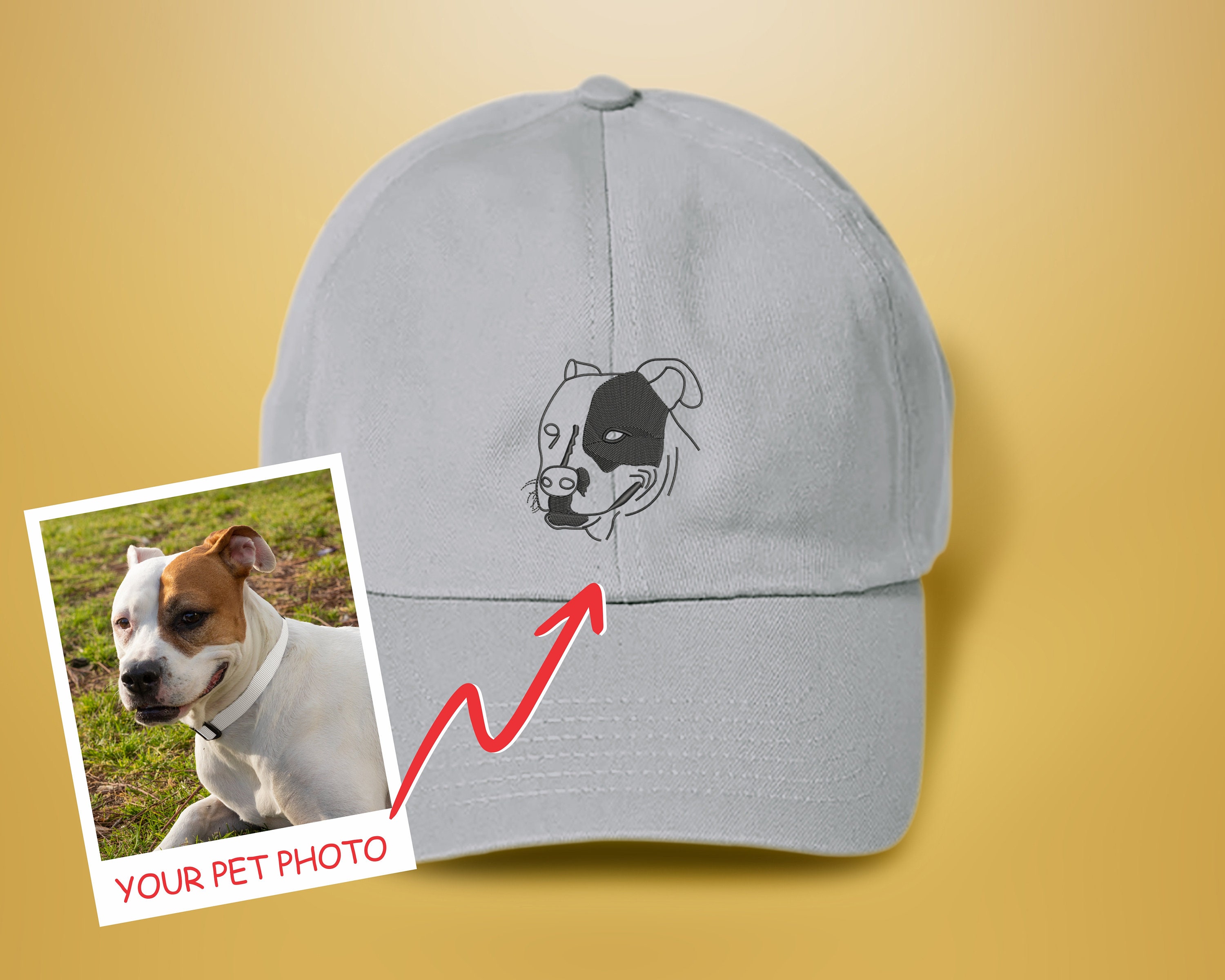 Dog baseball cap -  Schweiz