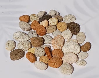 Japanese Pumice Stones, Volcanic Aquarium Rocks, Terrarium Decor