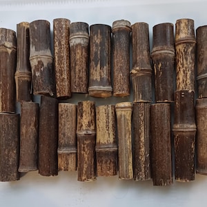 Op de afbeelding: Een verzameling donkerbruine bamboestokken van verschillende lengtes en diameters. De bamboestukken vertonen natuurlijke texturen en kleurvariaties, waarbij sommige lichtere, verweerde plekken vertonen. De snijvlakken onthullen de holle binnenkant van de bamboe.