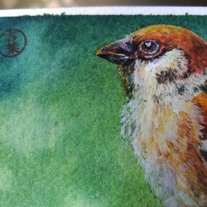 De mussen zijn chatten en chatten buiten de schilderkamer Ansichtkaart 105x148mm, originele aquarel, aquarel kaarten handgemaakt