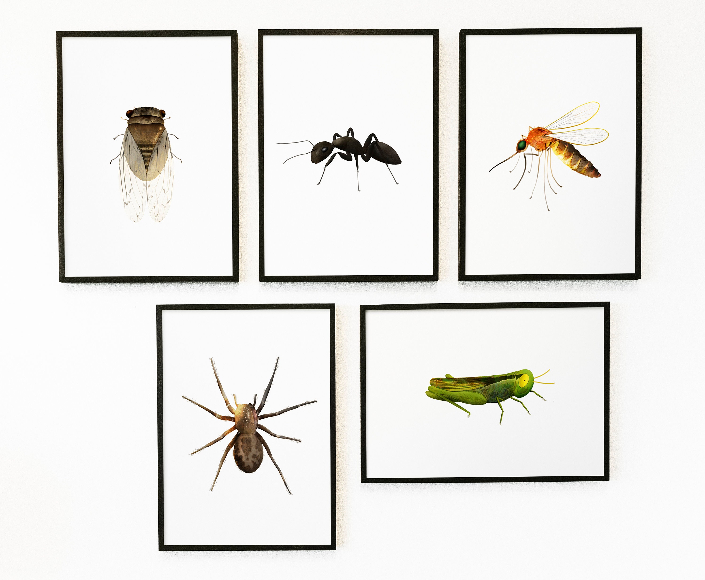 Insect illustration insect nursery prints Set of 5 Prints Etsy