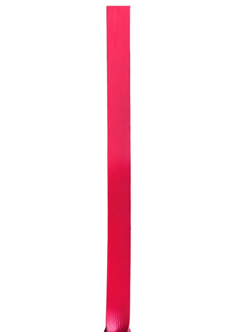 May include: A long, thin, bright pink ribbon.