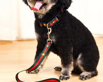 gucci dog leash