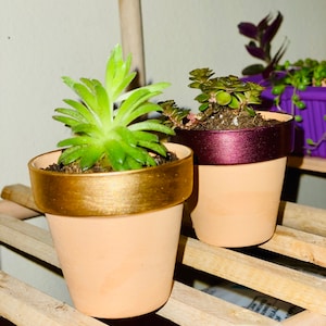 Mini Terra-Cotta Clay Pots with Gold OR Shimmering Magenta Trim