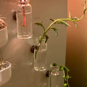 set of three magnetic glass jars~ propagation station