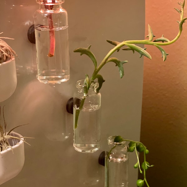 set of three magnetic glass jars~ propagation station