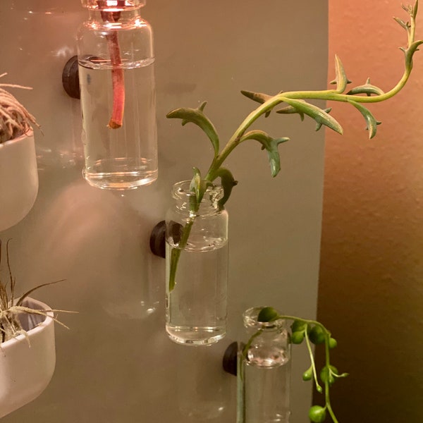 set of three magnetic glass jars~ propagation station