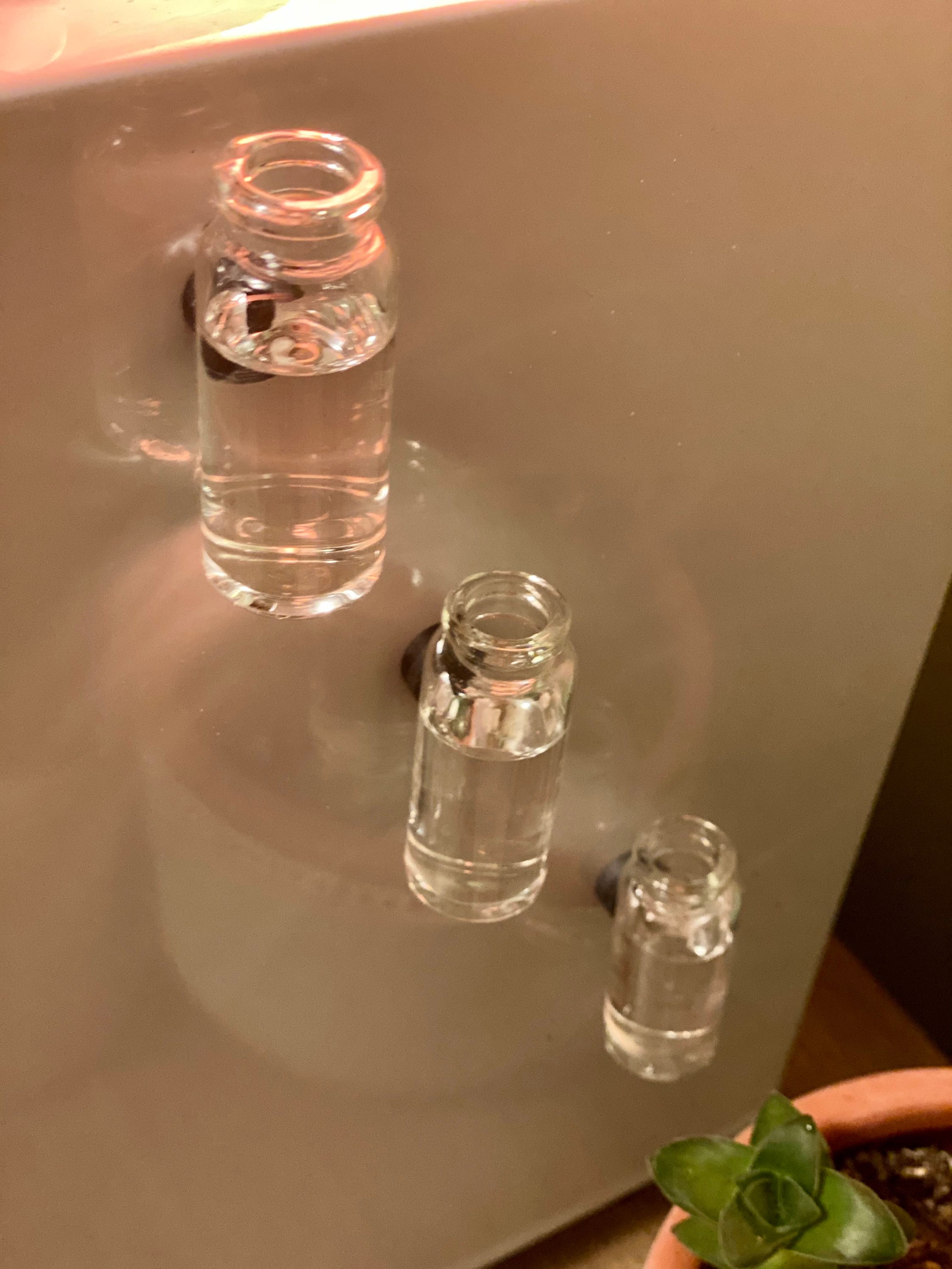 Set of three glass jars propagation station Etsy