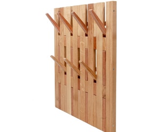 Wall mounted organizer with hooks , clothes rack