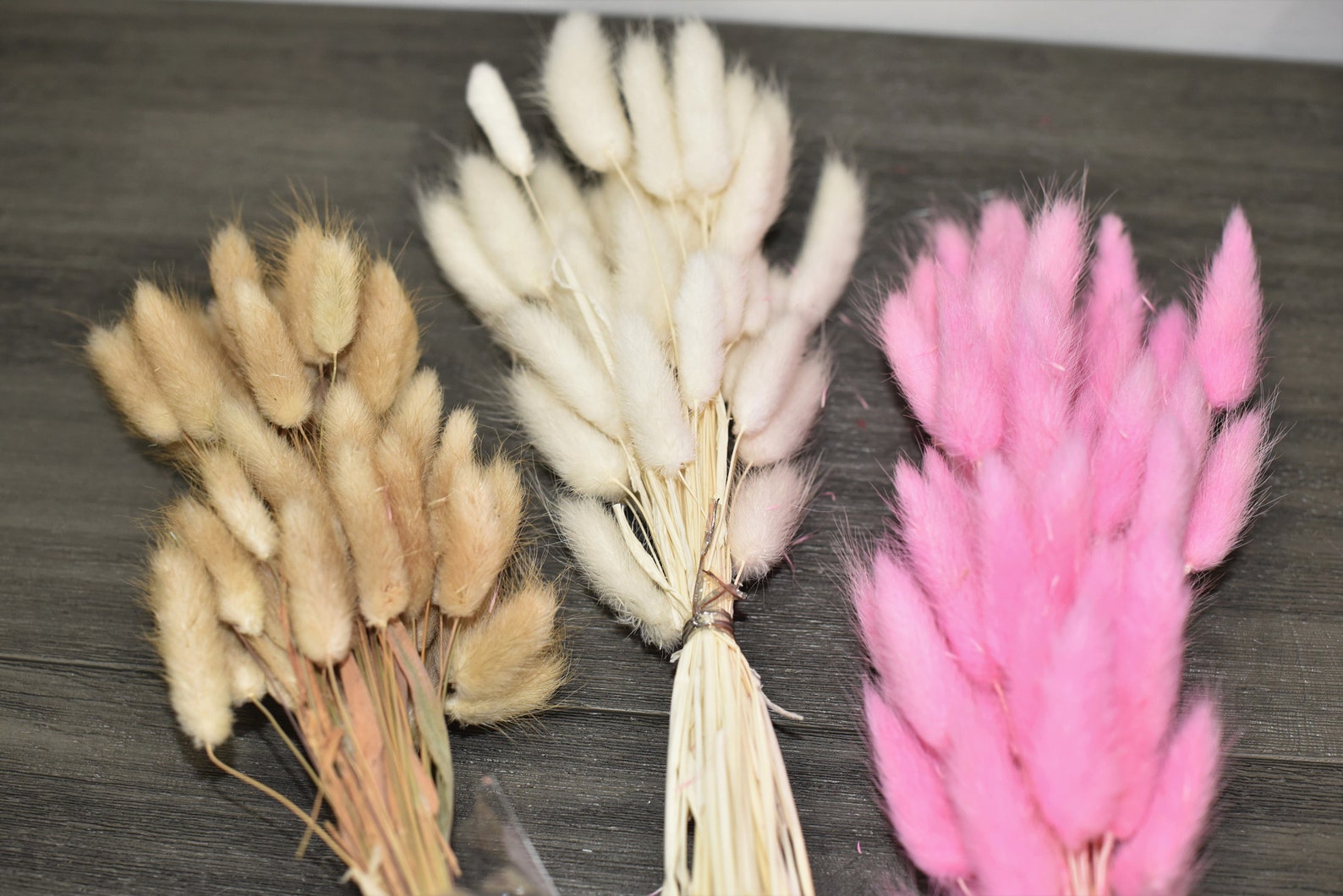 Dried Bunny Tails Light Brown 60pcs Etsy
