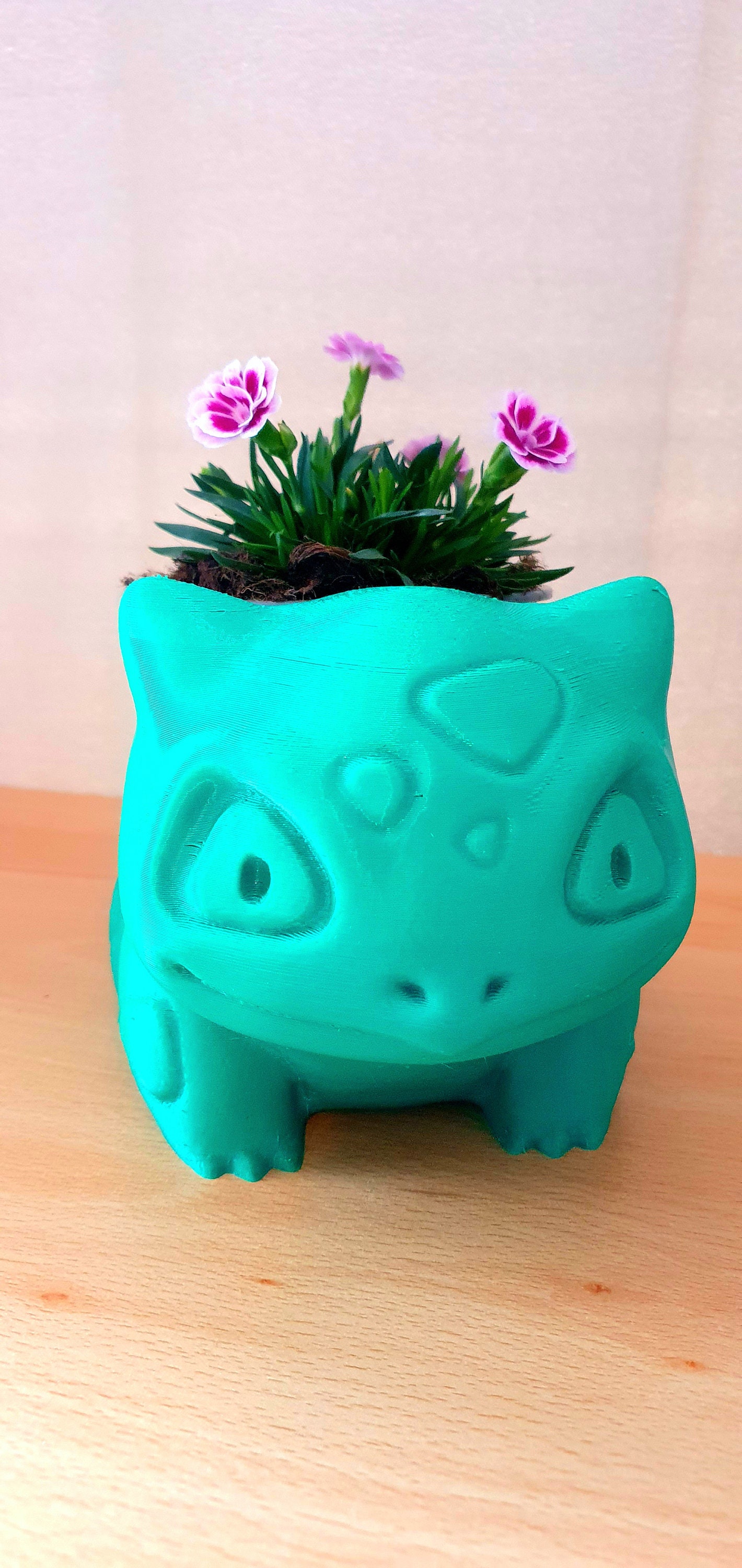 フシギダネプランター、ポケモンギフト、植木鉢、サボテンホルダー